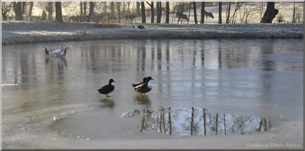 Image d'illustration pour Vos photos météo de la semaine