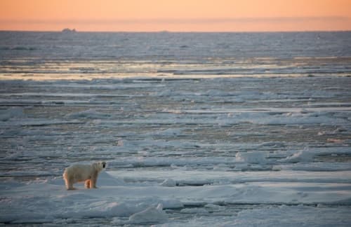 Image d'illustration pour Réchauffement et changement climatique - Veille documentaire