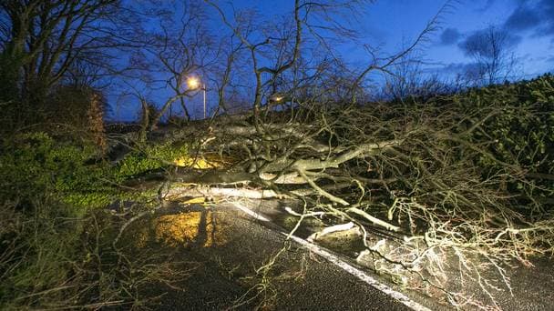 Image d'illustration pour Bilan de la tempête Erich (France, Iles Britanniques, Belgique)