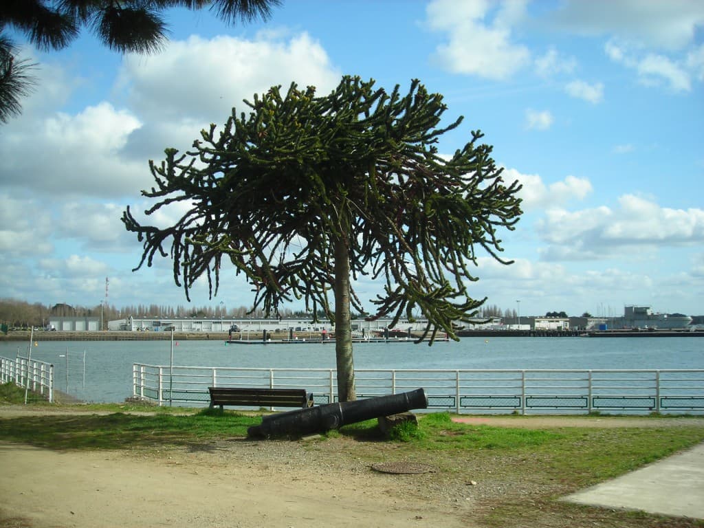 Nuages et ciel bleu sur la Rade de Lorient